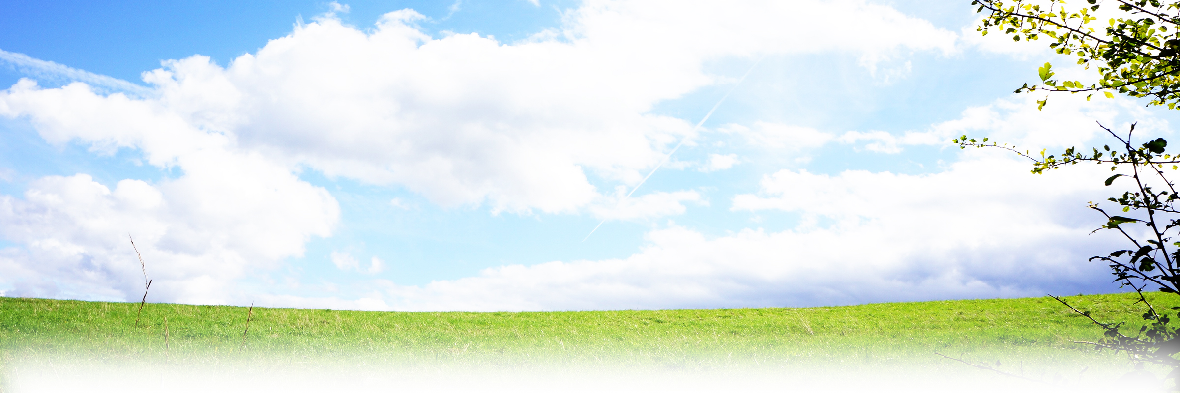 フリーランス 非公開求人 募集 派遣 訪看