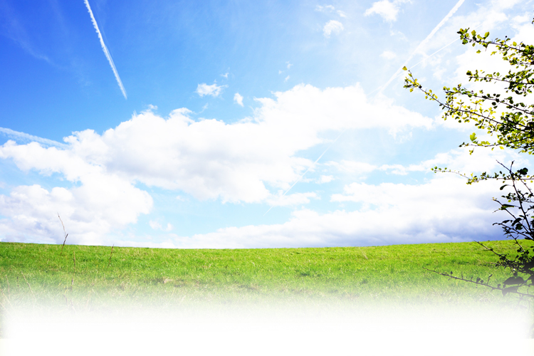 ターミナルケア 子育て 相談 在宅 支援 小児