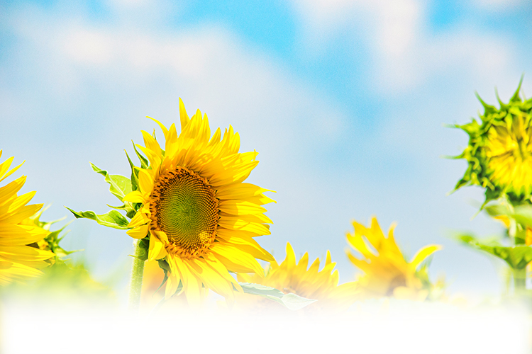 小児看護 理学療法士 作業療法士 言語聴覚士